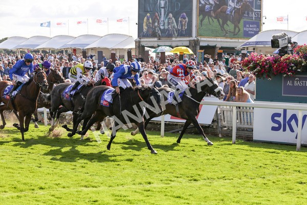 240824-Race 5-Elmonjed-9174 - Race 5 4.10pm Sky Bet Constantine Handicap