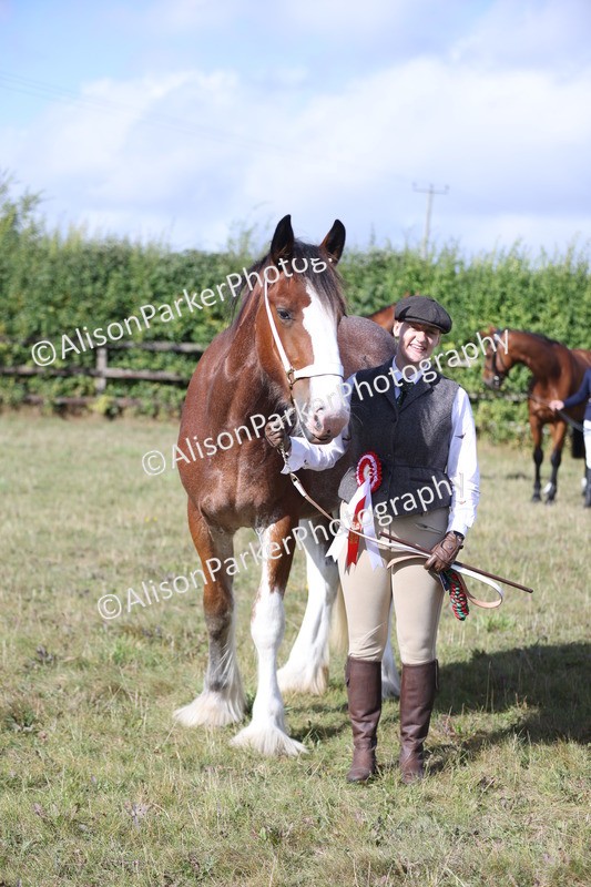 20250831-1531 - Class 21 - Inhand Open