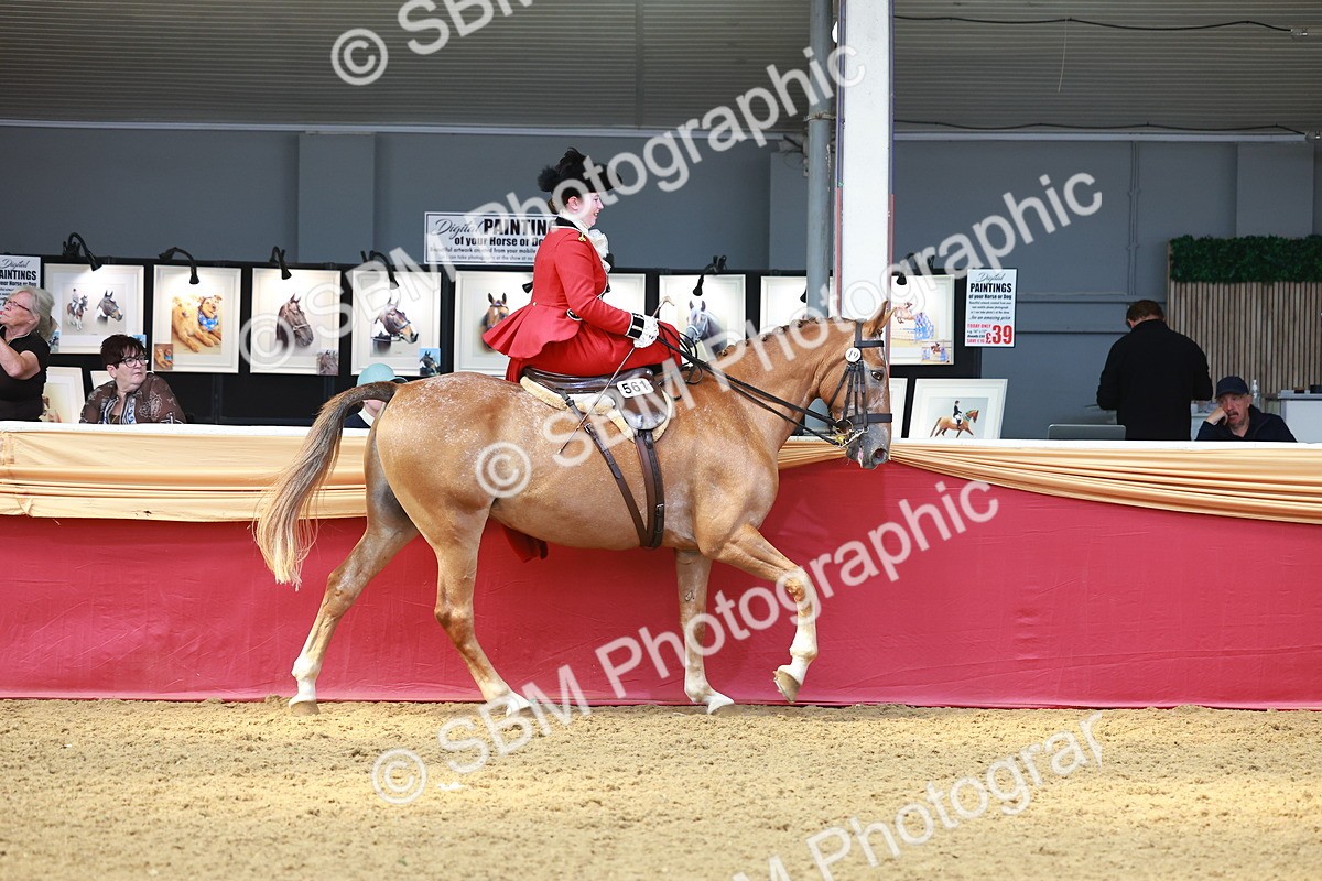 SBM_13873 - Class 106 - Ridden Costume - Side Saddle