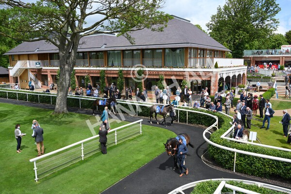 yr11062021r1-33 - Race 1 1.45pm eventmasters.co.uk British EBF Novice Stakes