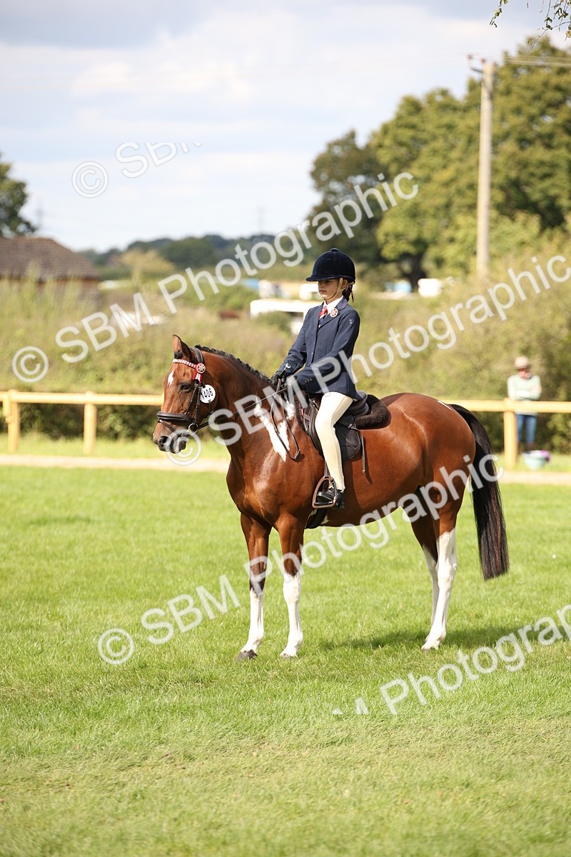 SBM_42320 - S13 - Pony Club Pony