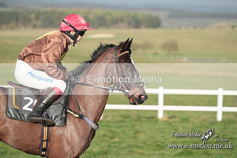 PtP 311223 457 - Larkhill Racing Club Point-to-Point 31/12/23