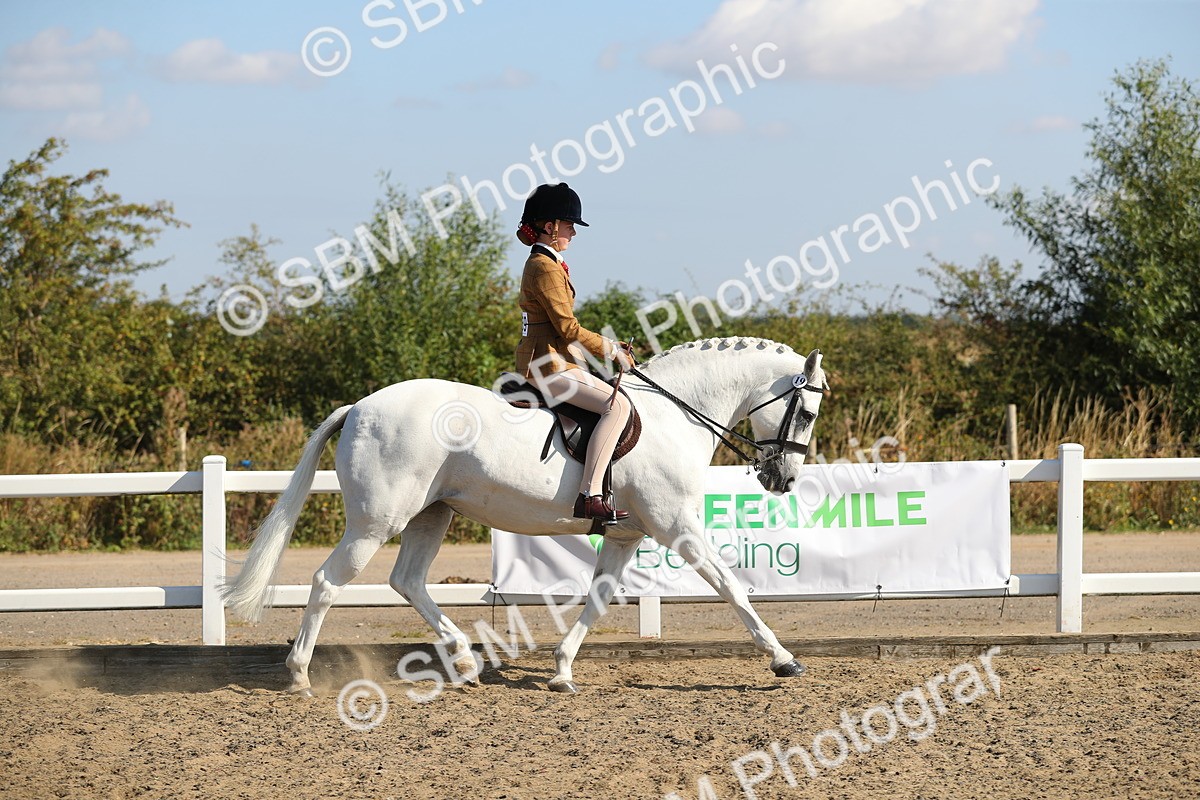SBM_02196 - Class 43 Ridden Competition Horse/Pony