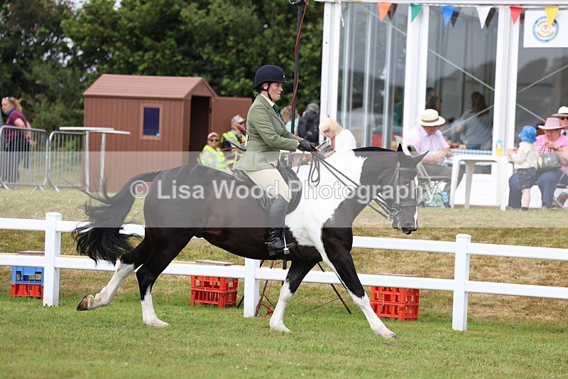 3E7A0342 - Class 6: Rising Star Maxi Cobs