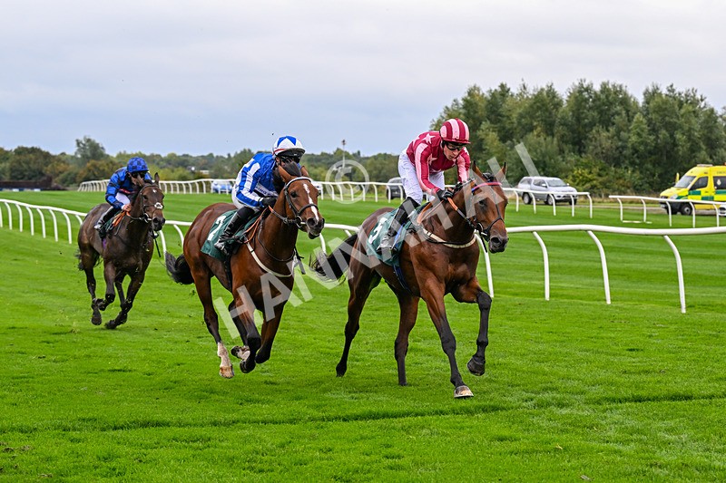 011025-Race 3-Real American-0252 - Race 3