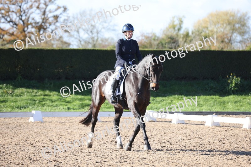 20251102-0963 - Class 5 - Elementary 5