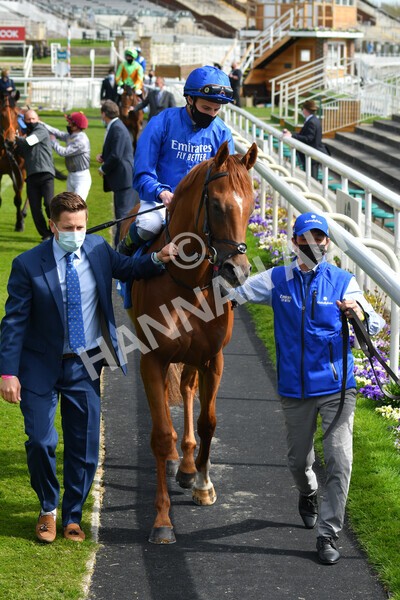 yr13052021r6-13 - Race 6 4.15pm Constant Security EBFstallions.com Maiden Stakes