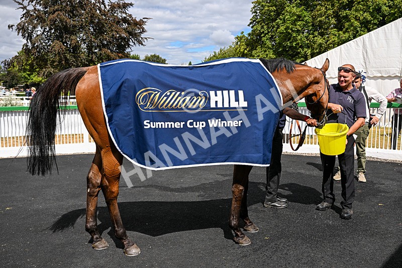 010826-Race 2-Witch Hunter-2545 - Race 2 14.08pm William Hill Summer Cup Handicap
