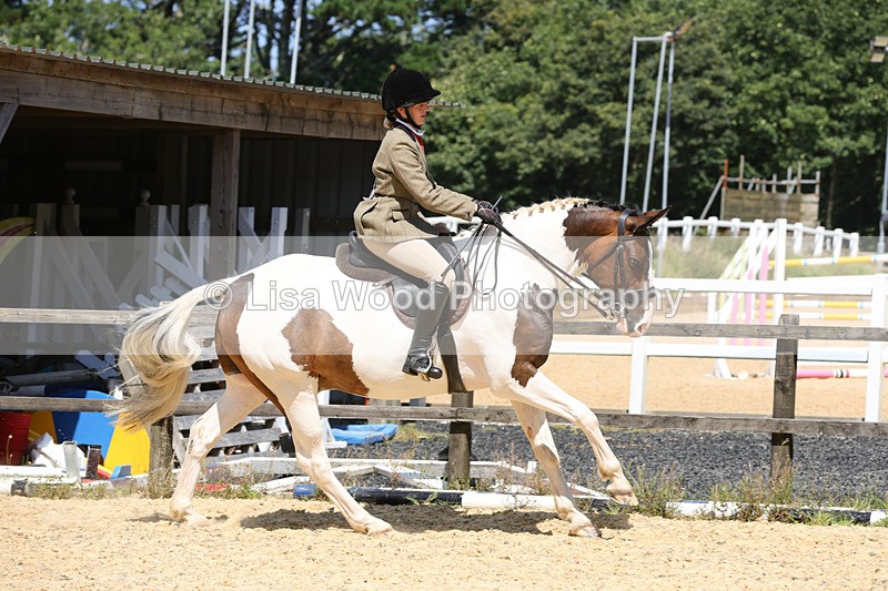 1X9A8833 - Class 19: Riding Club Horse