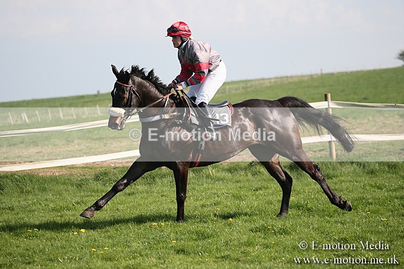PtP 210418 461 - South & West Wilts Point-to-Point Larkhill 21/04/18