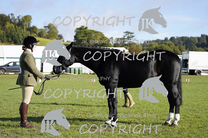 _DSC9526 - Class 8 & 17 Ridden Hunter & Ridden Hunter Pony