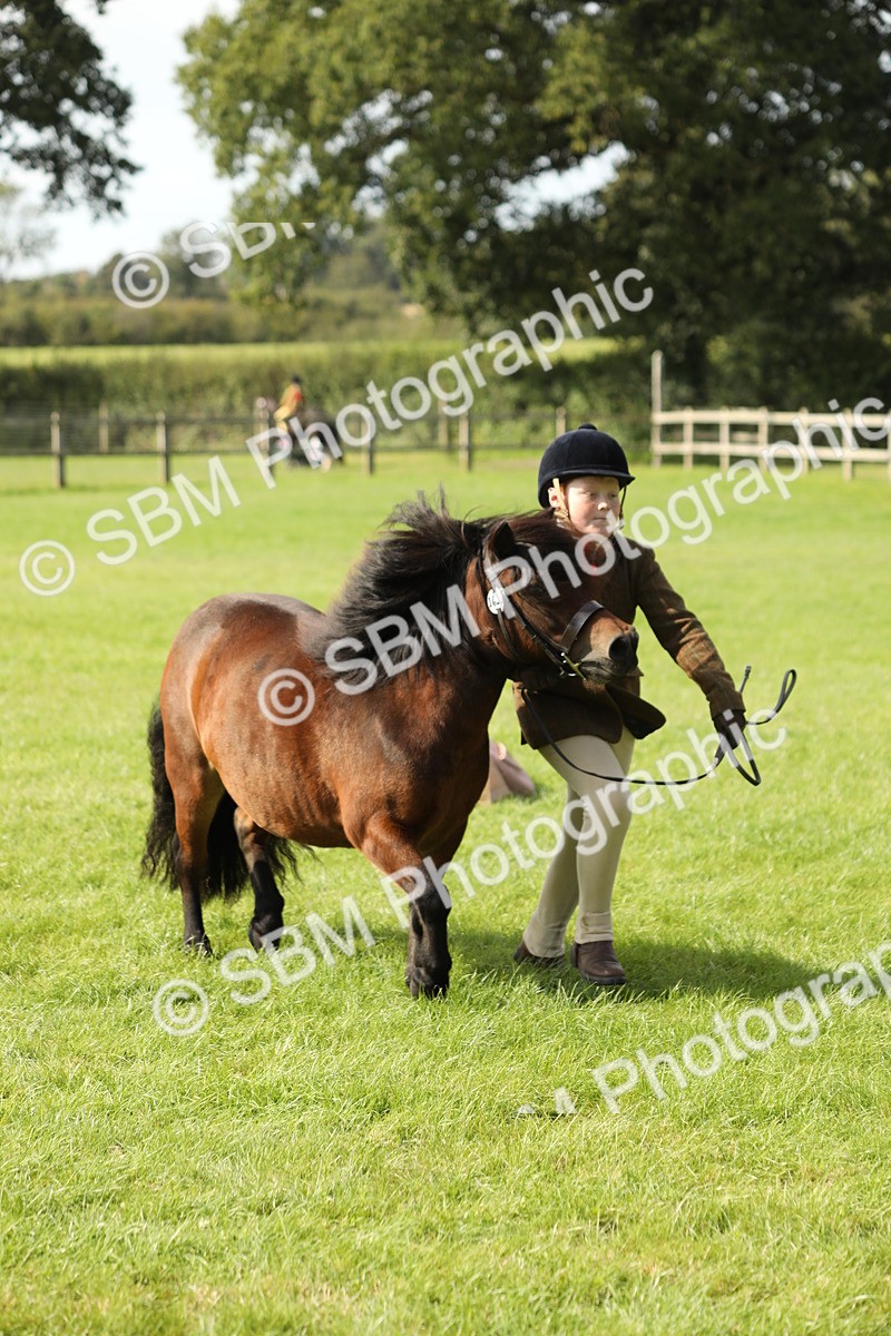SBM_68620 - S40 - Junior Handler 9-12 Years