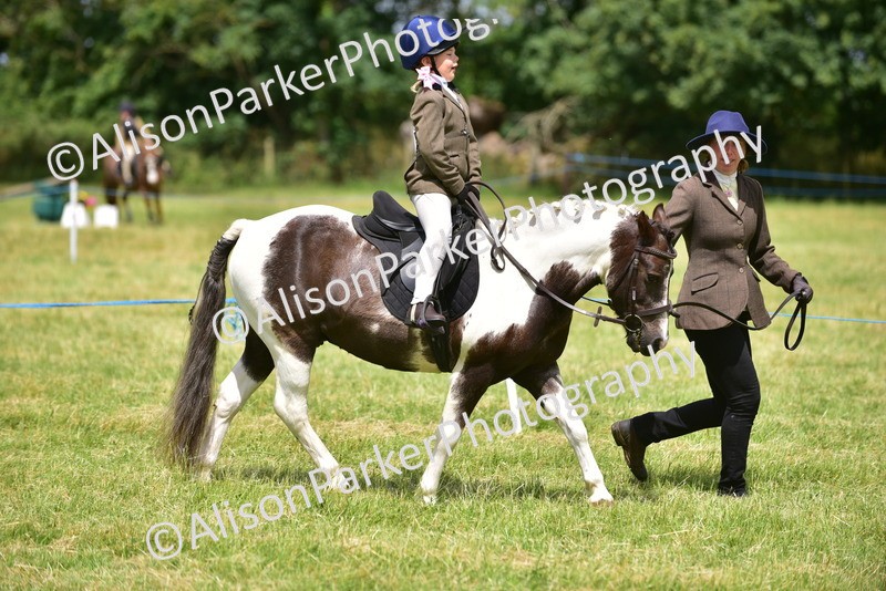 20260614-1367 - Class 11b - Lead Rein Pony (Plaited)