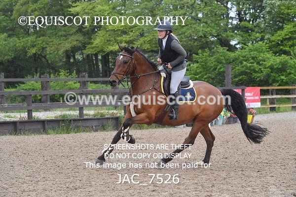 JAC_7526 - CLASS 14  Senior Newcomers/ 1.10m Open