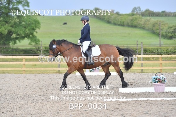 BPP_0034 - SHORT ARENA  MY QUEST PRELIM