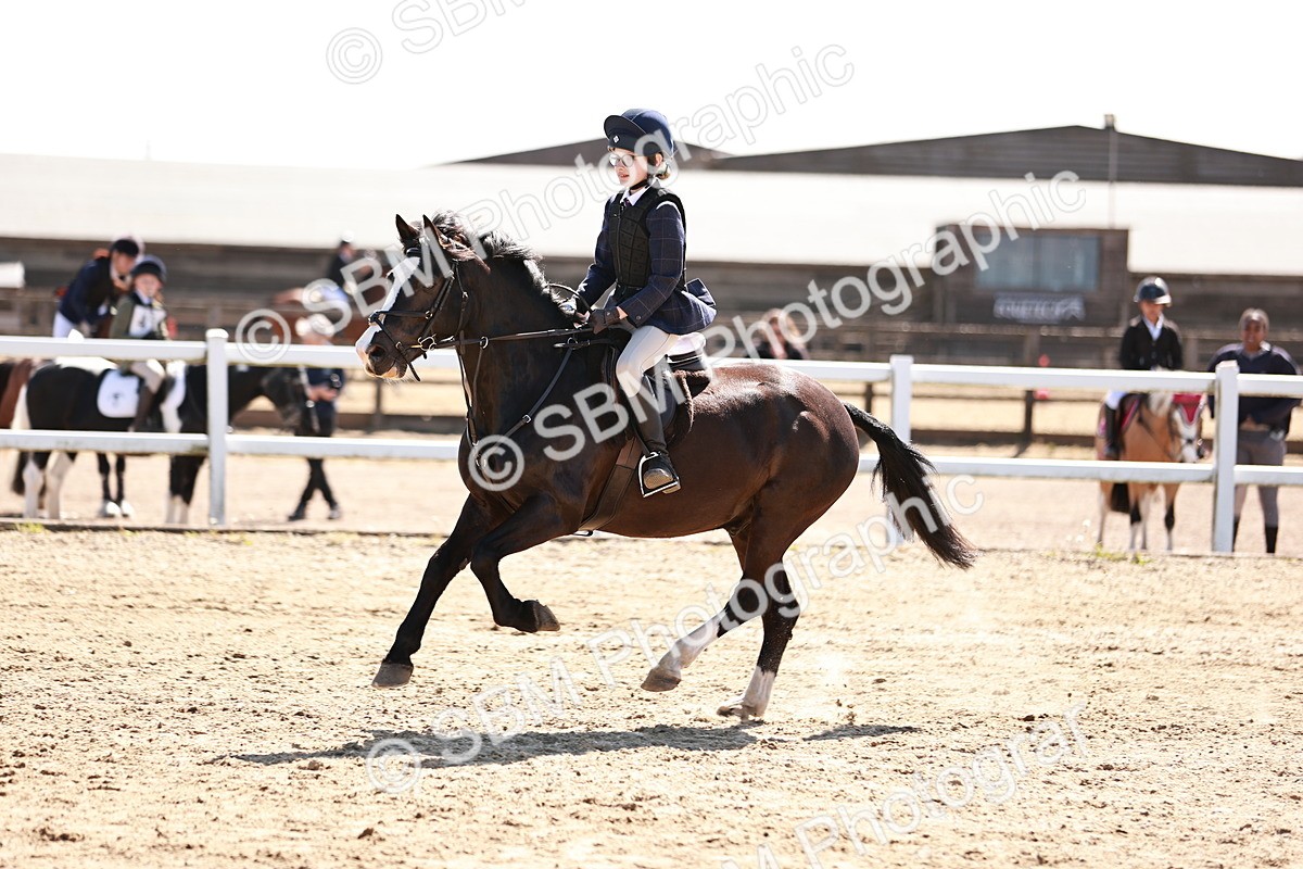 SBM_006973 - Class 2 - 50cm