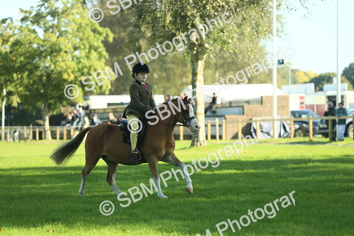 SBM_36334 - S29 - Novice & Newcomers Working Hunter Pony