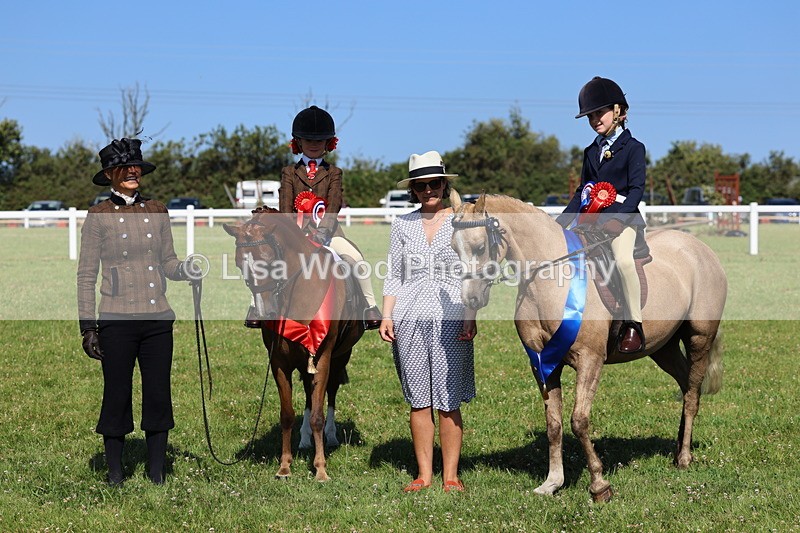 IMG_1865 - Plaited Mini Ridden Championship