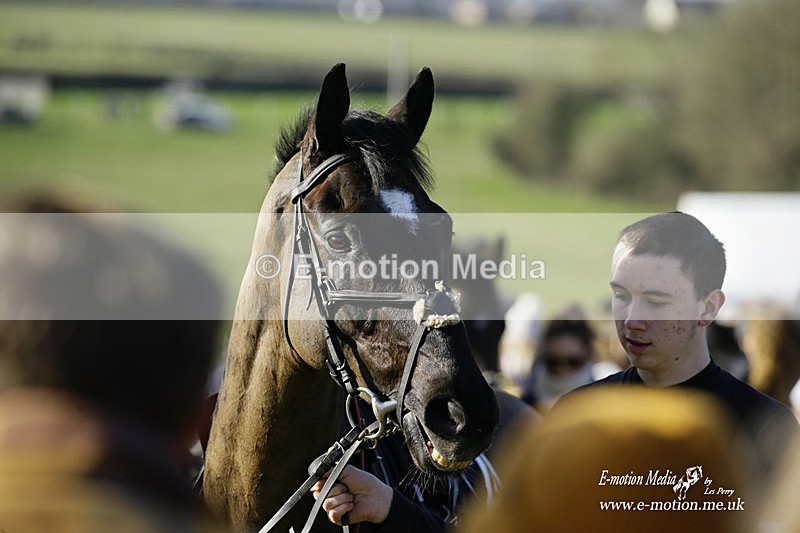 PtP 300122 156 - South Dorset Hunt - Point-to-Point Races 30/01/2022