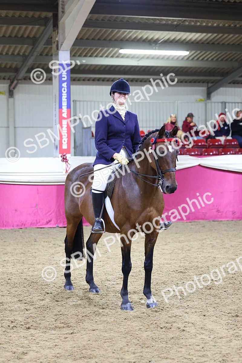 SBM_19005 - Class G Ridden Pony Champ