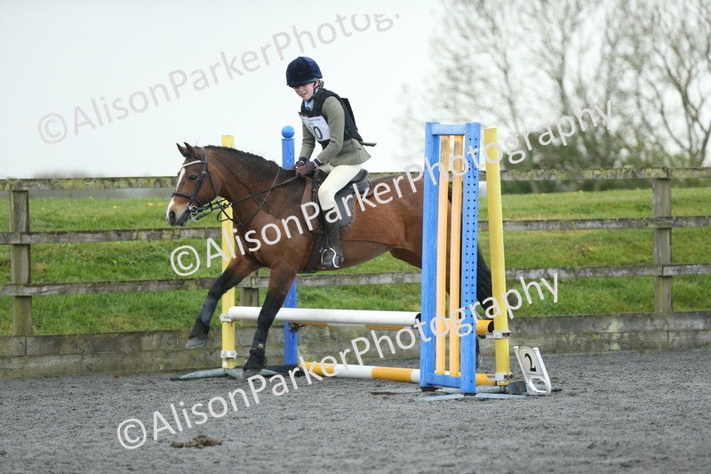 20260412-1905 - Show Jumping