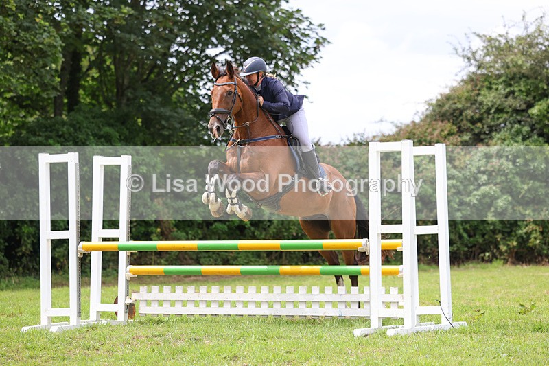 3E7A7317 - Class 5: Senior British Novice/90cm open