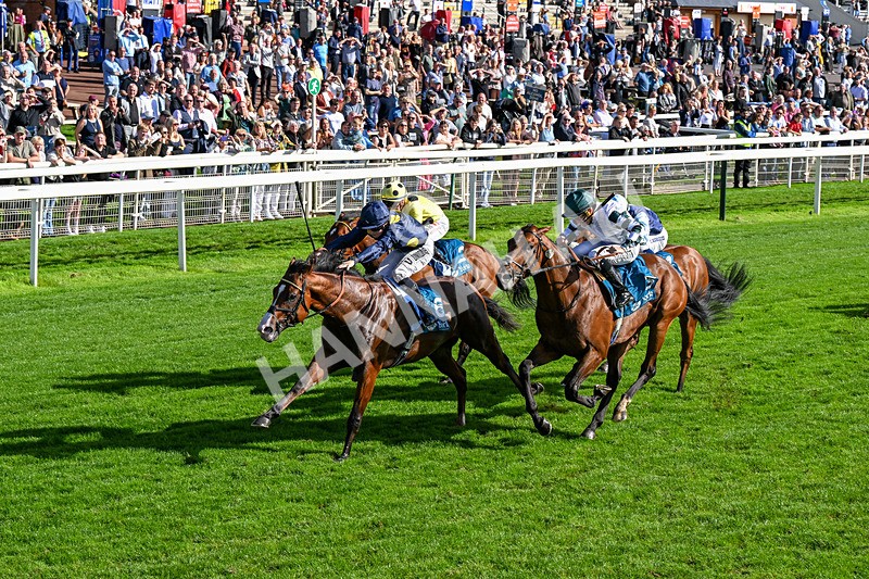 060926-Race 5-Extremely Zain-0325 - Race 5 3.50pm Starman At Tally Ho Stud Garrowby Stakes