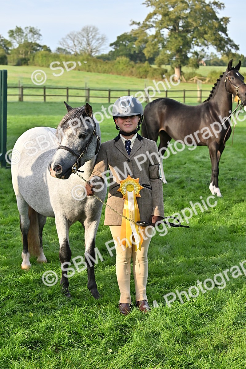 SBM_54640 - S44 - Youngstock In Hand