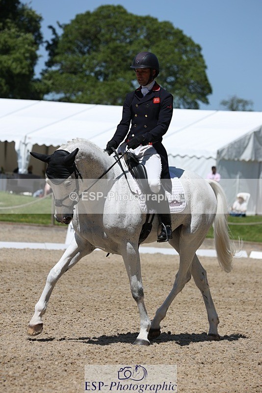 230526-125226-06275 - 163-UVERA_Z-Harry_Meade-WEDTrotUp+DR