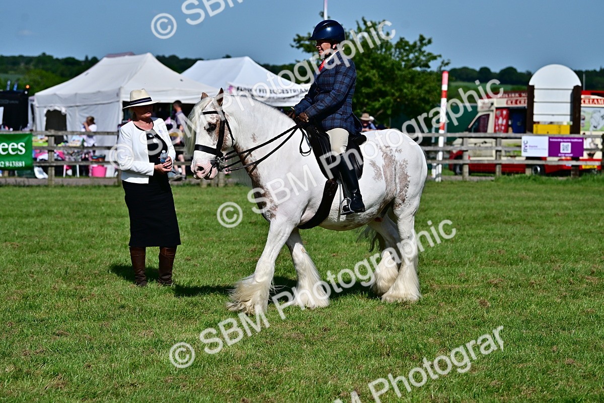 SBM_09376 - Class 63-65 - Traditional Gypsy Cobs In Hand & Ridden