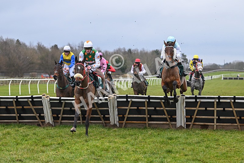 100225-Race 1-Tigerbythetail-6224 - Race 1