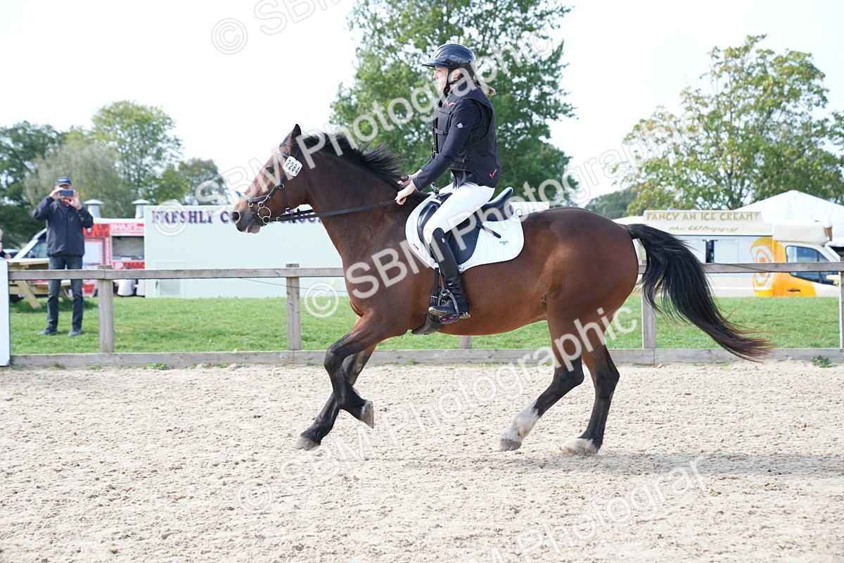 SBM_06031 - J56 - Clear Round 70cm