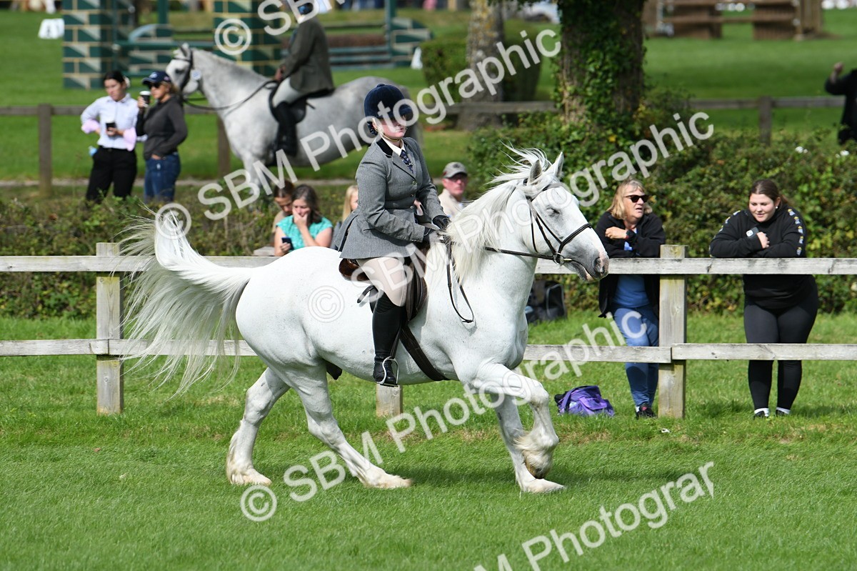 SBM_46899 - S12 - Family Horse & Pony