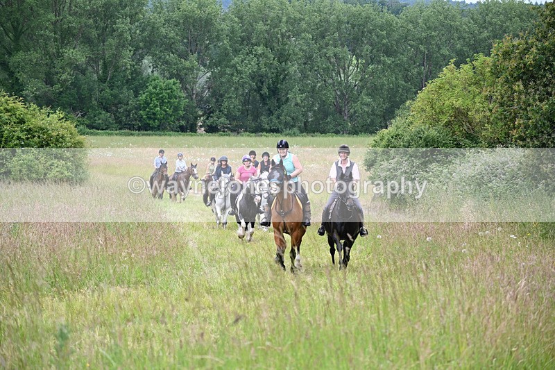 WJ6_8369 - Camera 1 Gallops