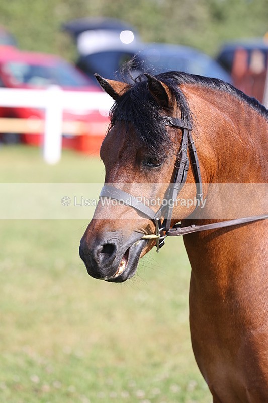 JPP_0578 - Class 15: Cornish Combination First Ridden