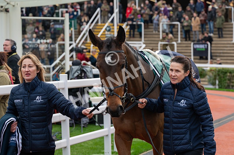 161125-Race 2-Kdeux Saint Fray-1307 - Race 2