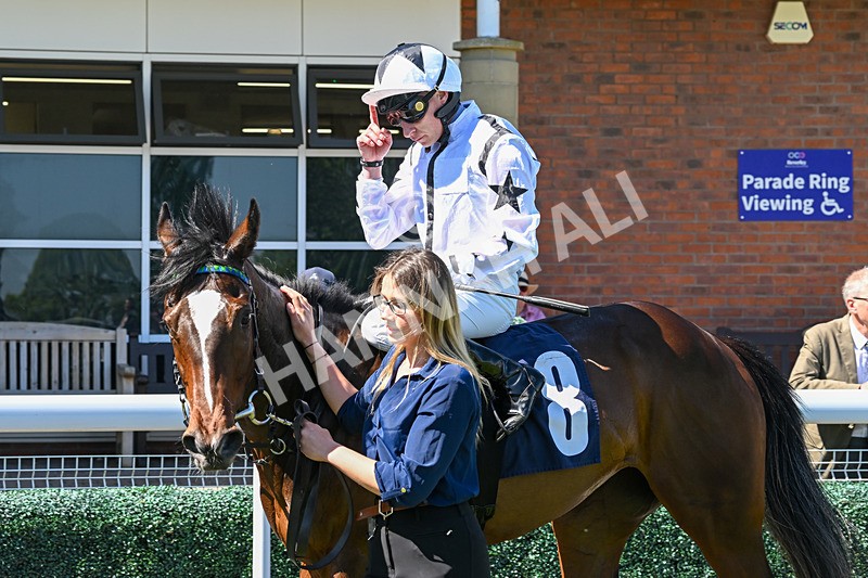 130525-Race 1-Artista-9458 - Race 1