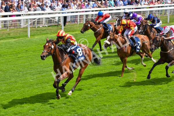yr08072022r2-29 - Race 2 2.40pm William Hill Summer Stakes