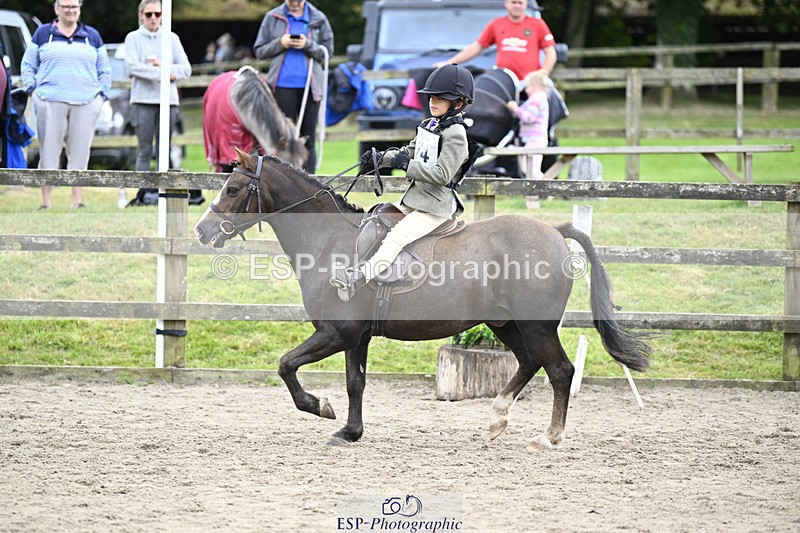 240822X-150736-11547 - 40cm A R2 15.00 to 16.16