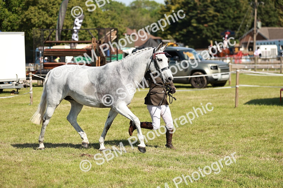SBM_18904 - Class 114 - RIHS & SEIB Open Working Show Horse