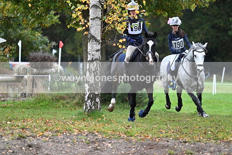 WJ7_2099 - 80cm Cam 2 Pairs Time 12:18 to 12:43