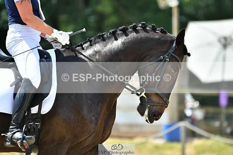 230623-130934-02325 - Cls 4 Novice 37Q 12.45 to End