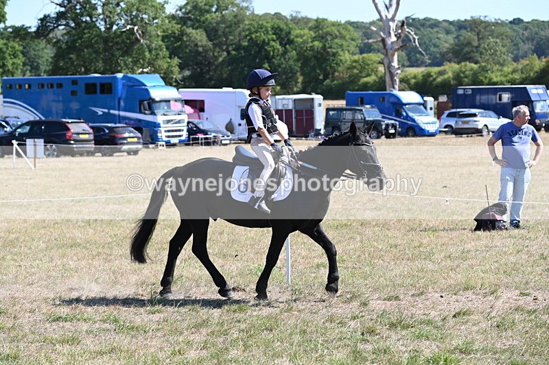 WJ6_8378 - Class 37a Best Loan Pony Ridden