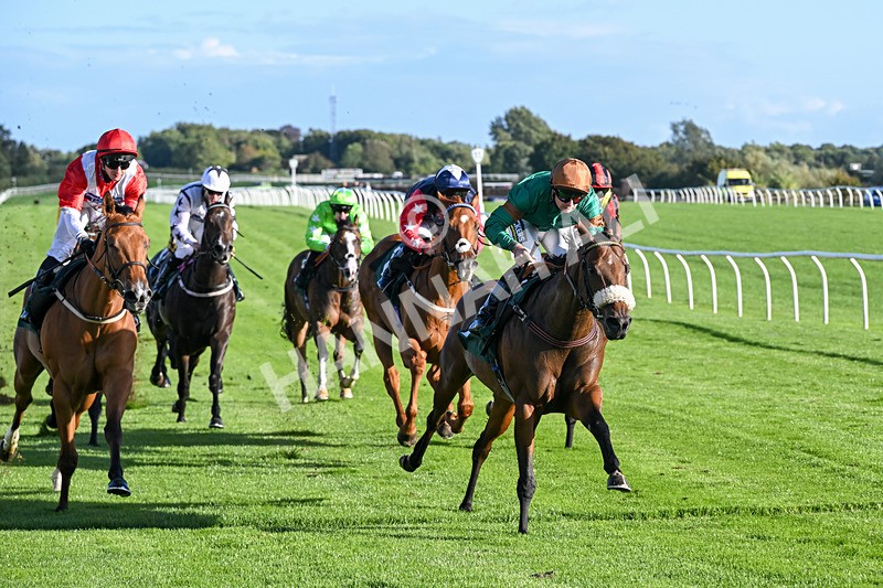 080926-Race 7-Military Girl-3331 - Race 7 5.21pm RMG Proudly Supports Teenage Cancer Trust Handicap