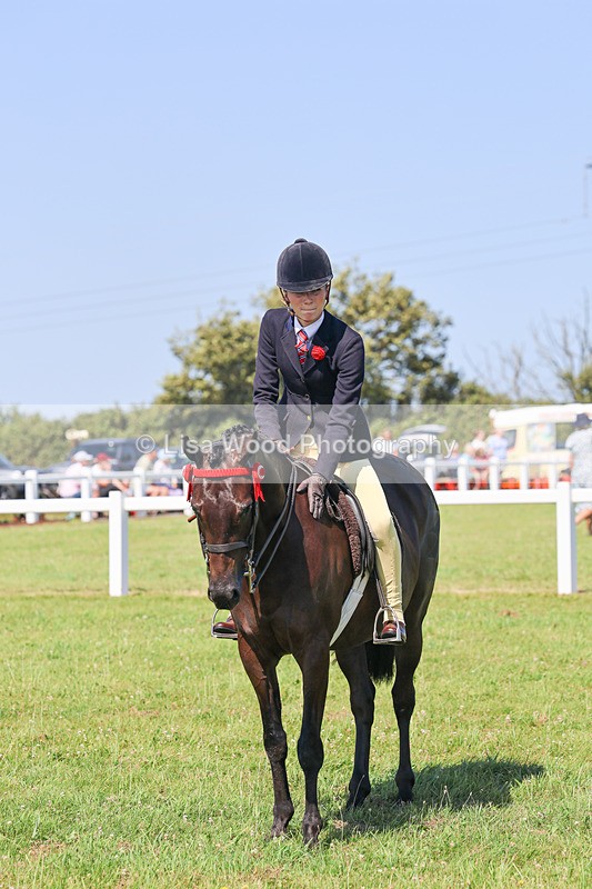 IMG_1923 - Class 33: Show Pony 148cm and under