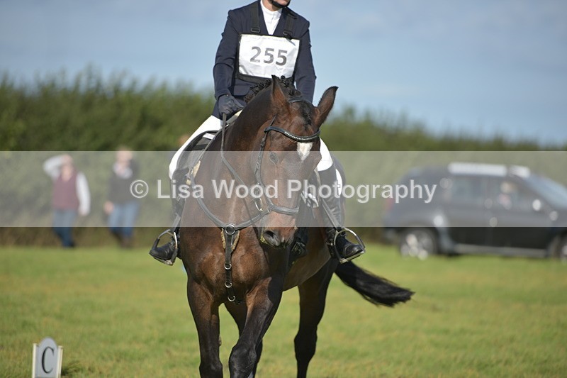 RAY_7485 - Class 2B: Trekenning Open: Dressage