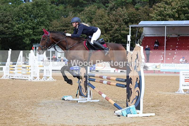 3E7A9110 - Class 9: Senior British Novice/90cm open