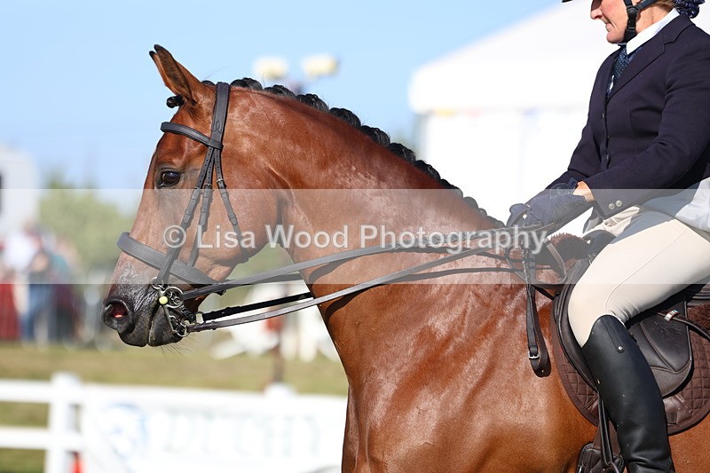 3E7A5494 - Class 2: Rising Star Large Hack/Riding Horse