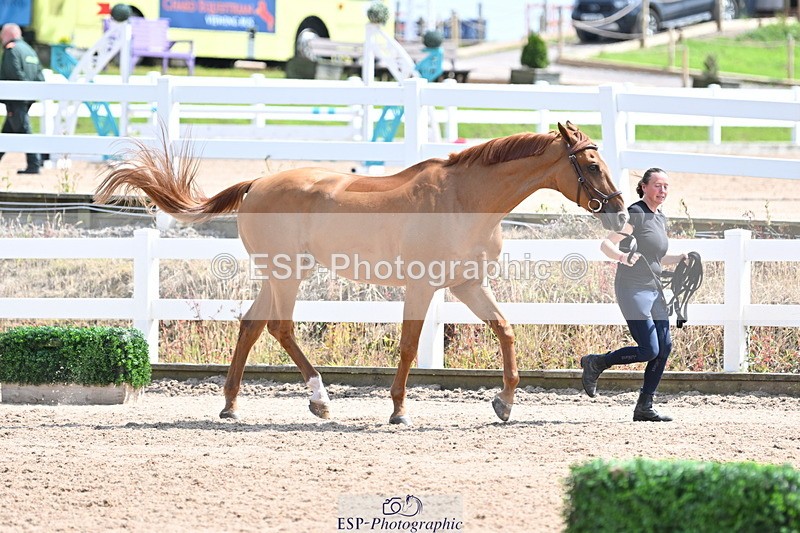 240717A-145314-02372 - Trot Up 2pm to 3pm - This folder is not in time order