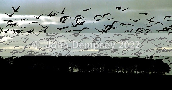 Up Up And Away - Places Around Montrose